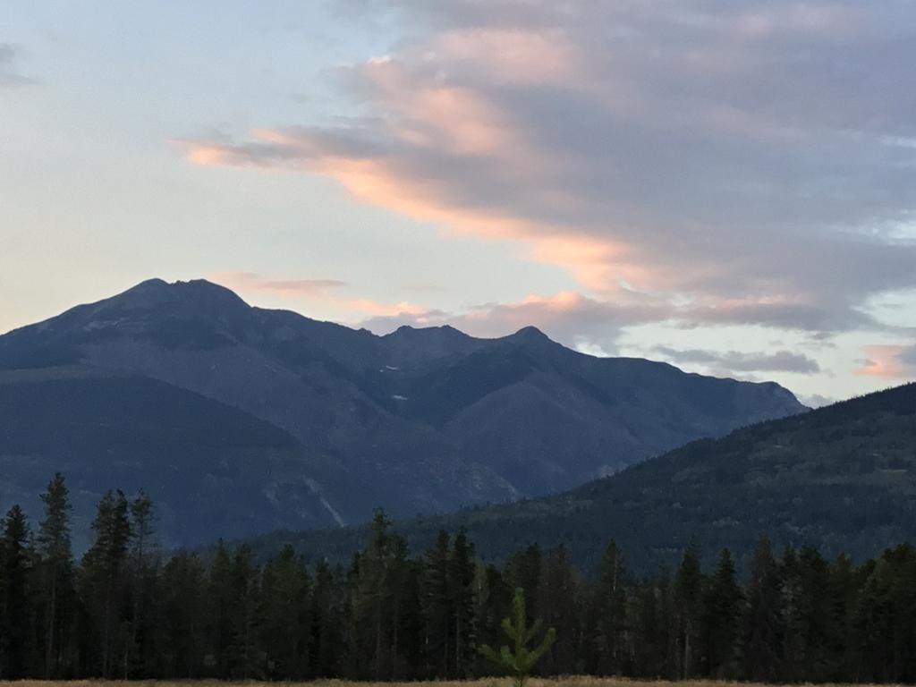 Rose Cottage Bed & Breakfast Valemount Zewnętrze zdjęcie