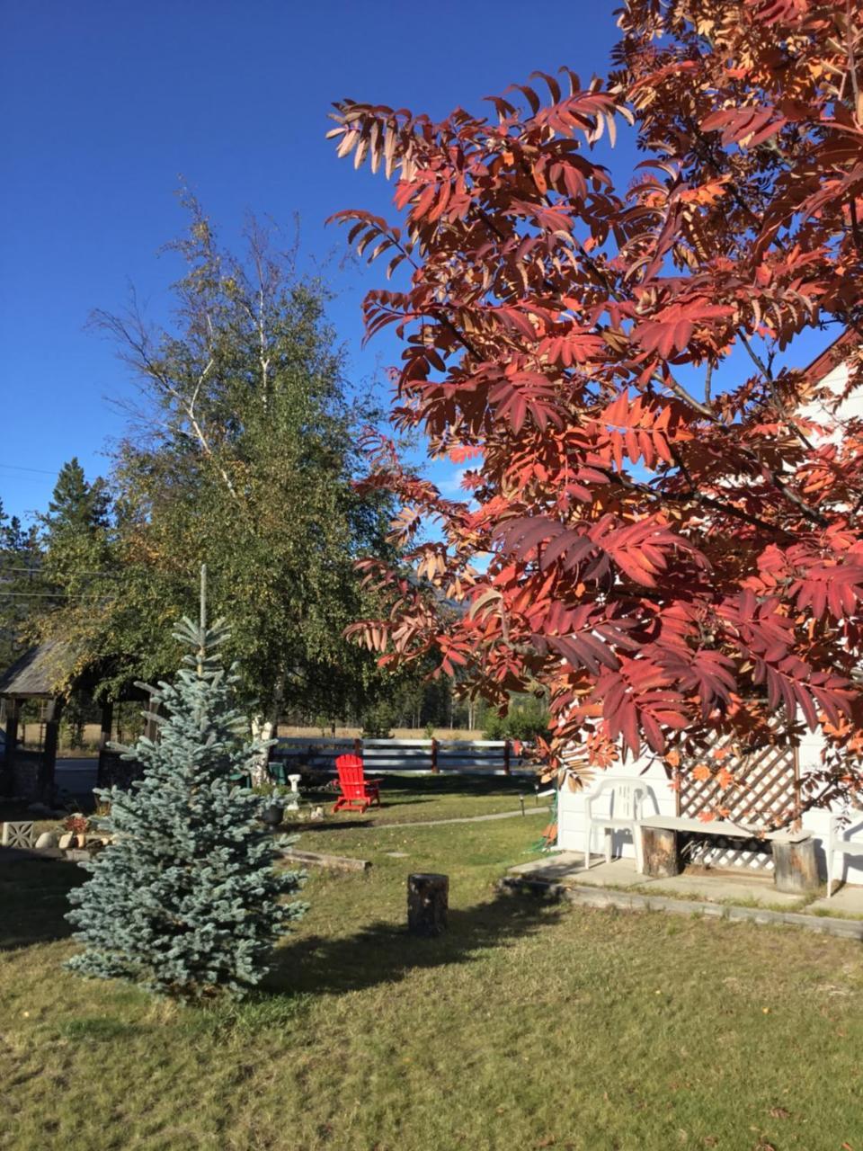 Rose Cottage Bed & Breakfast Valemount Zewnętrze zdjęcie
