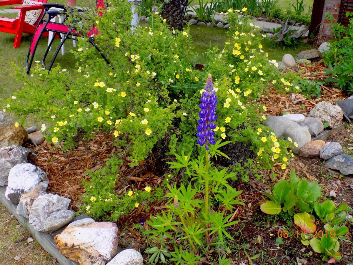 Rose Cottage Bed & Breakfast Valemount Zewnętrze zdjęcie